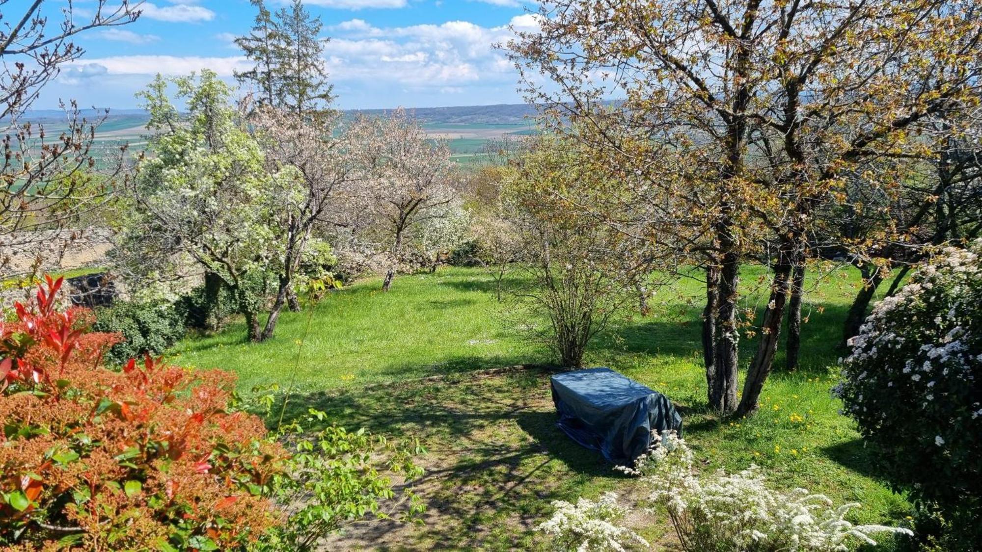 L'Oustalou - Wifi - Jardin - Campagne Villeneuve (Puy-de-Dome) Exterior foto